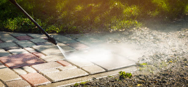 Best Fence Cleaning  in Mount Vernon, TX