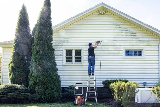 Solar Panel Cleaning in Mount Vernon, TX