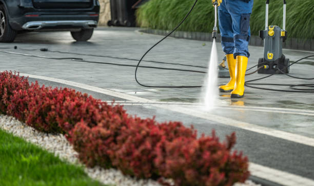 Animal Enclosure Cleaning in Mount Vernon, TX