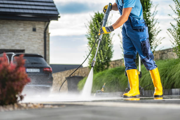 Best Animal Enclosure Cleaning  in Mount Vernon, TX