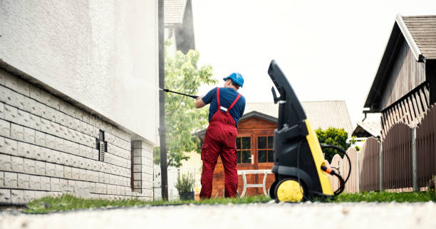 Best Pre-Holiday Cleaning  in Mount Vernon, TX